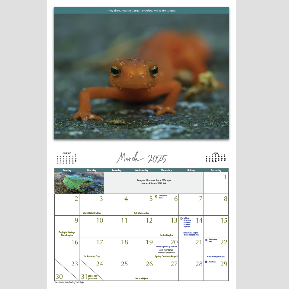 National Wildlife Federation 2025 Wall Calendar