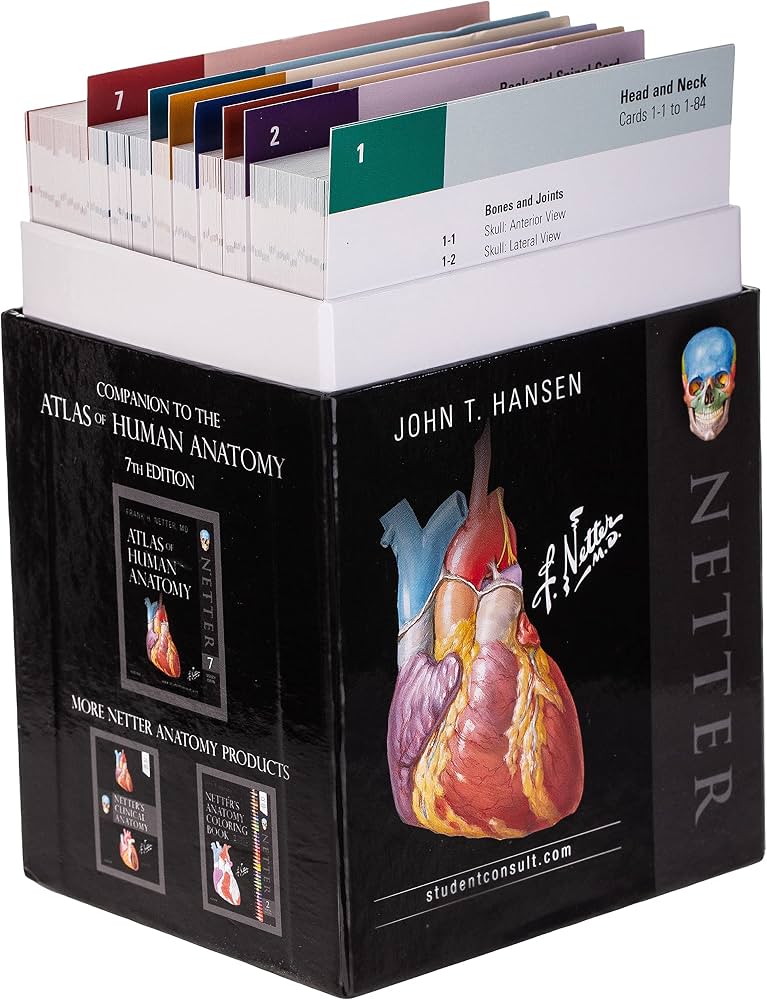 Netter's Anatomy Flash Cards