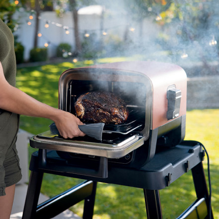 Ninja Woodfire 8-in-1 Outdoor Oven OG701