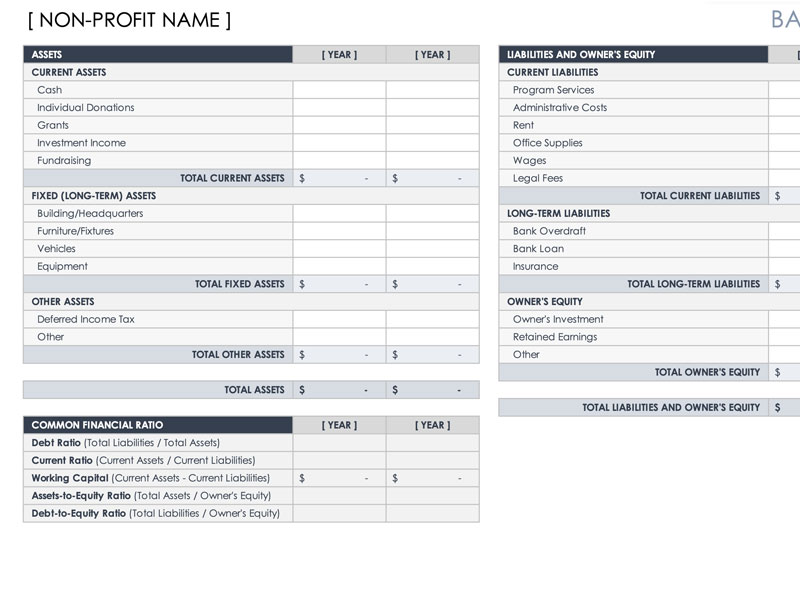 Nonprofit Accounting Excel Template by ExcelDesigns