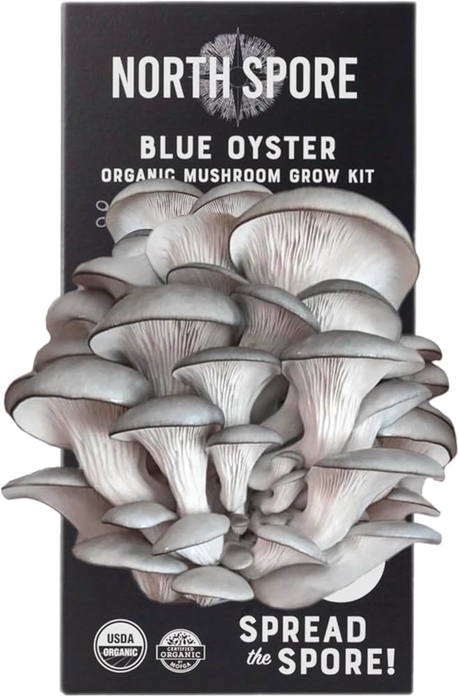North Spore Organic Oyster Mushroom Grow Kit