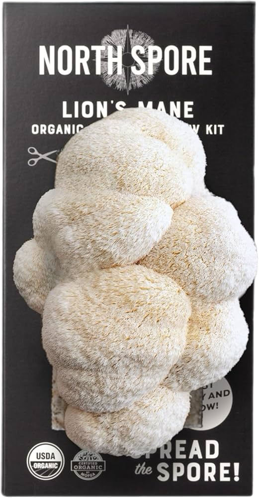 North Spore Premium Lion's Mane Mushroom Grow Kit