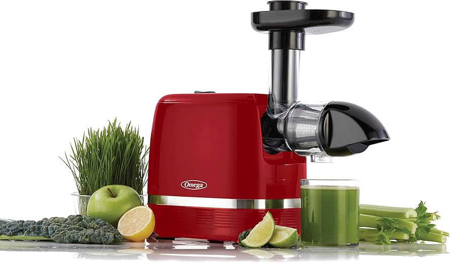 Omega H3000R Cold Press 365 Juicer