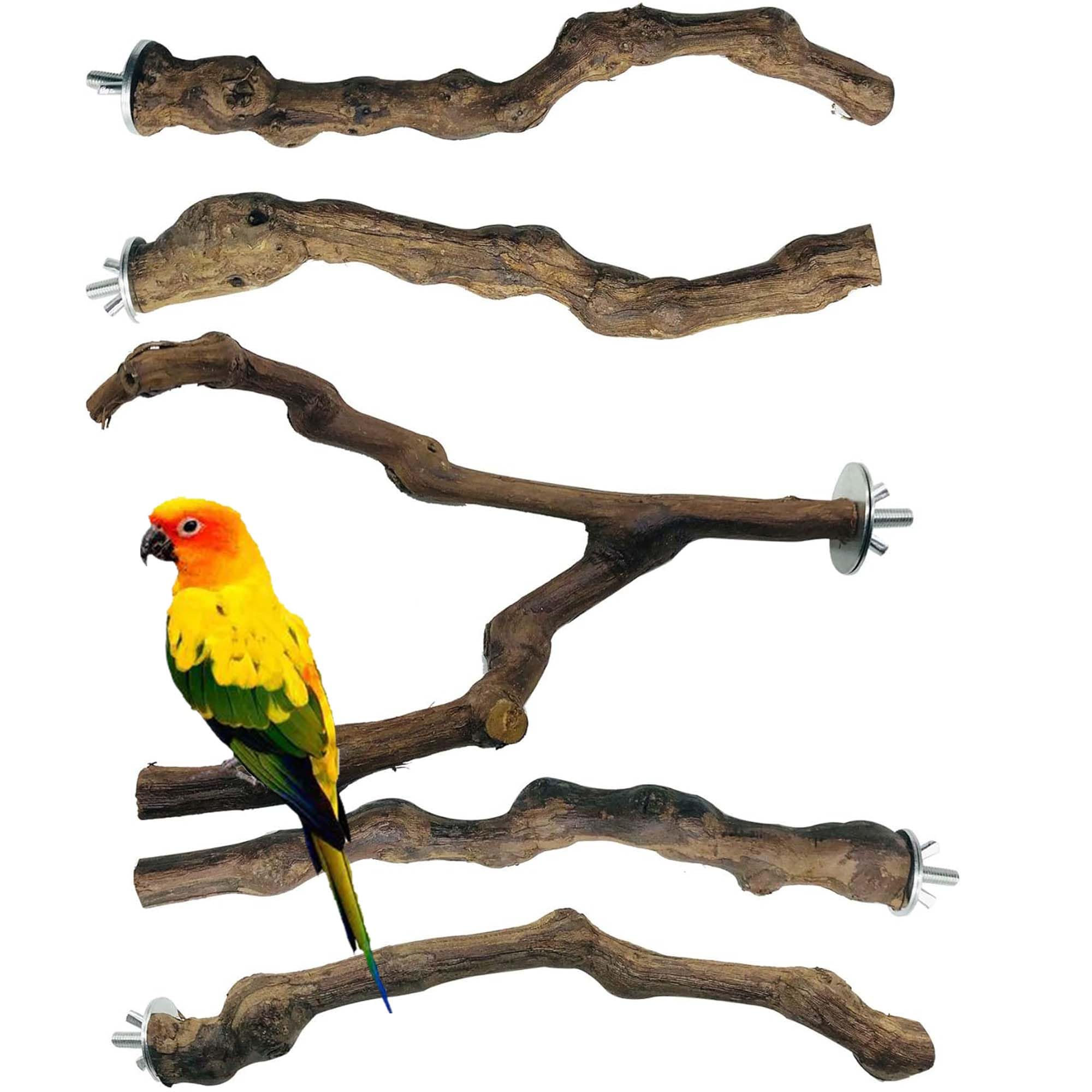 Ovenok 3 Pack Bird Perch