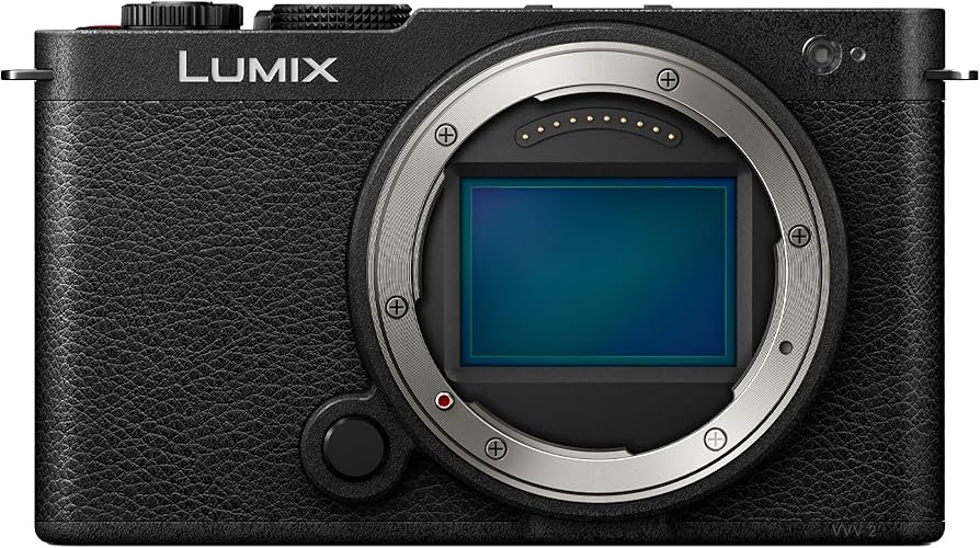 Panasonic LUMIX S9