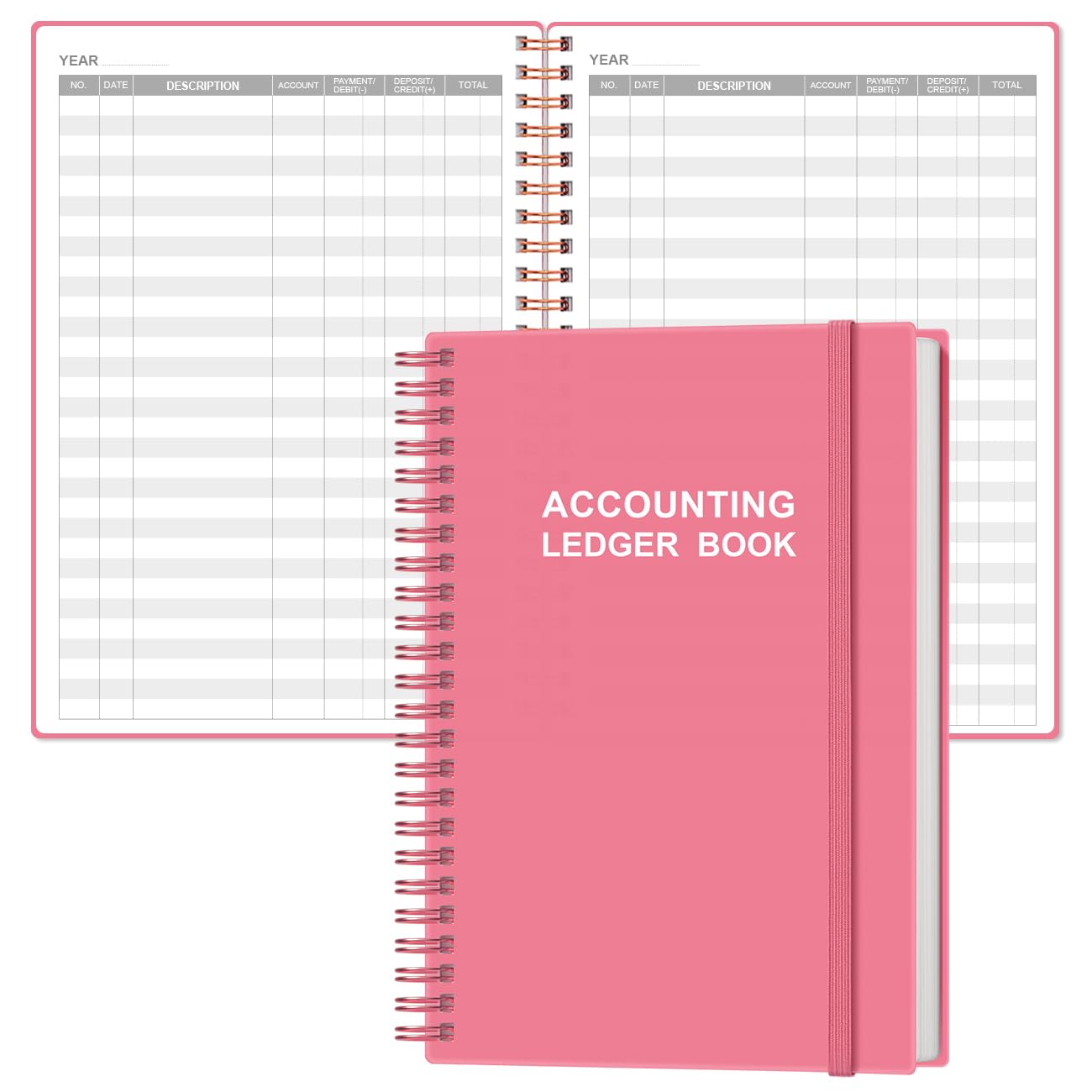 Parmonic Accounts Ledger Book