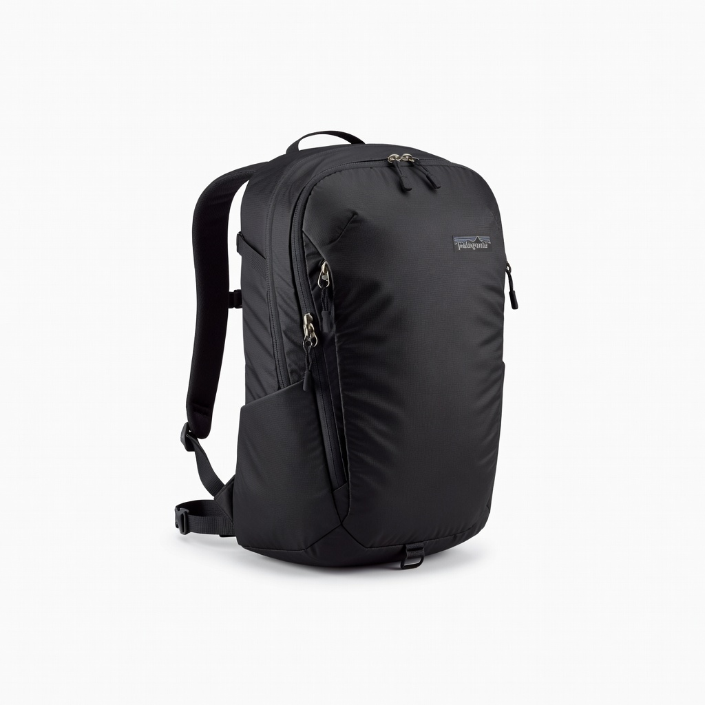 Patagonia Black Hole Pack 25L
