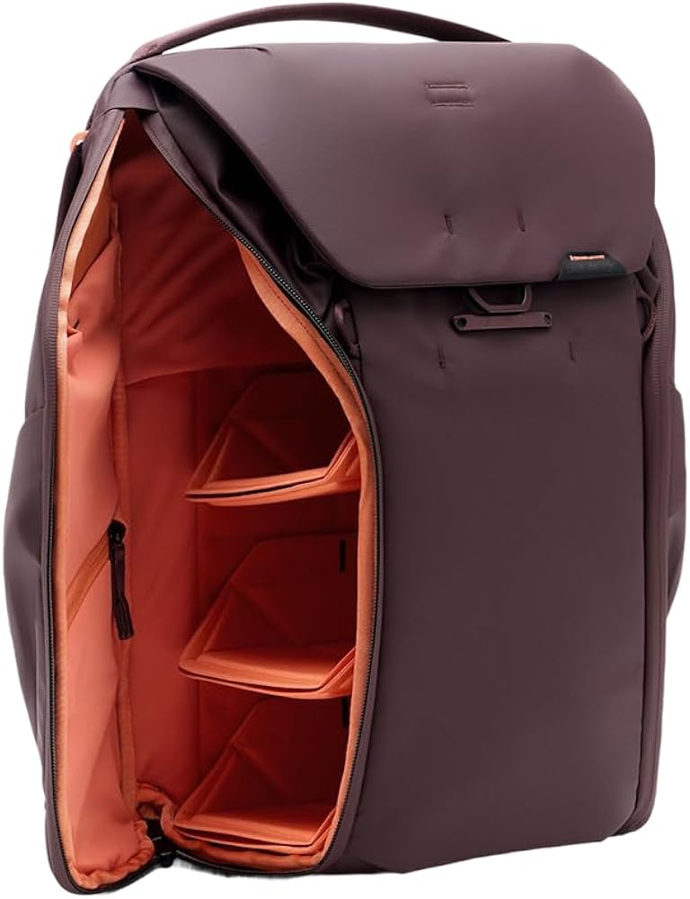 Peak Design Everyday Backpack V3 20L