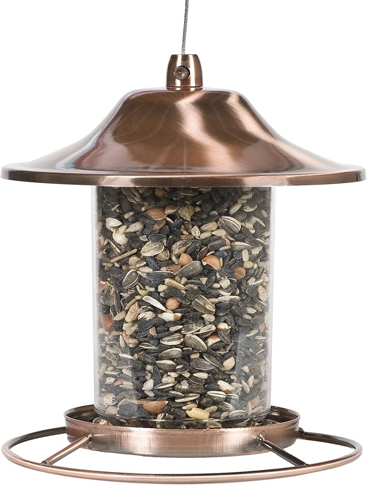 Perky-Pet 312 Panorama Bird Feeder