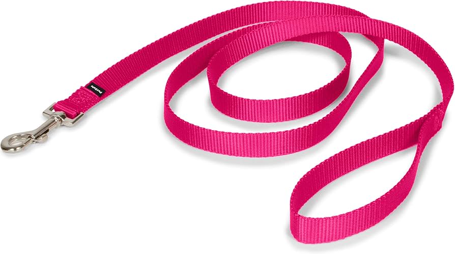 PetSafe Nylon Dog Leash