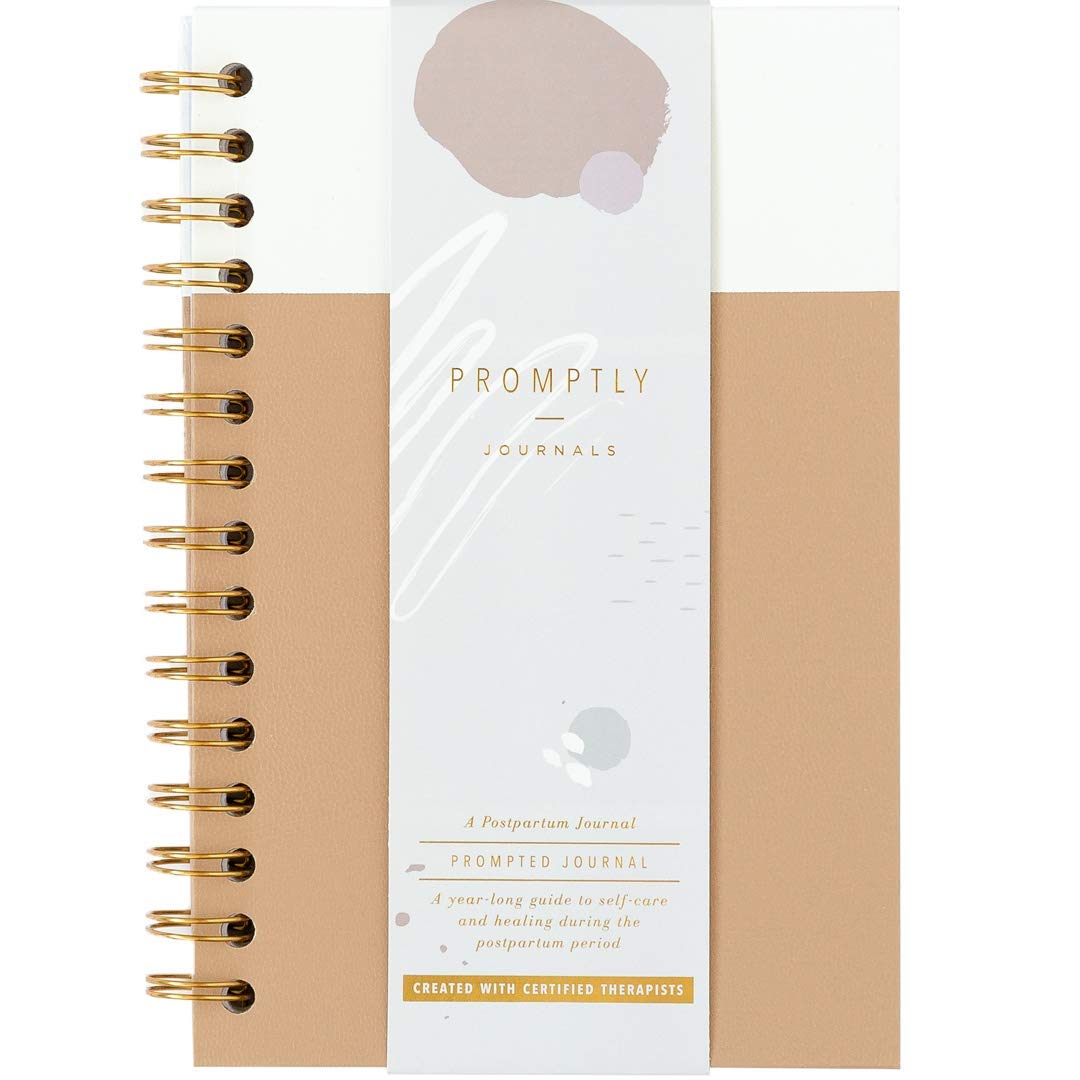 Promptly Journals Recovery Journal