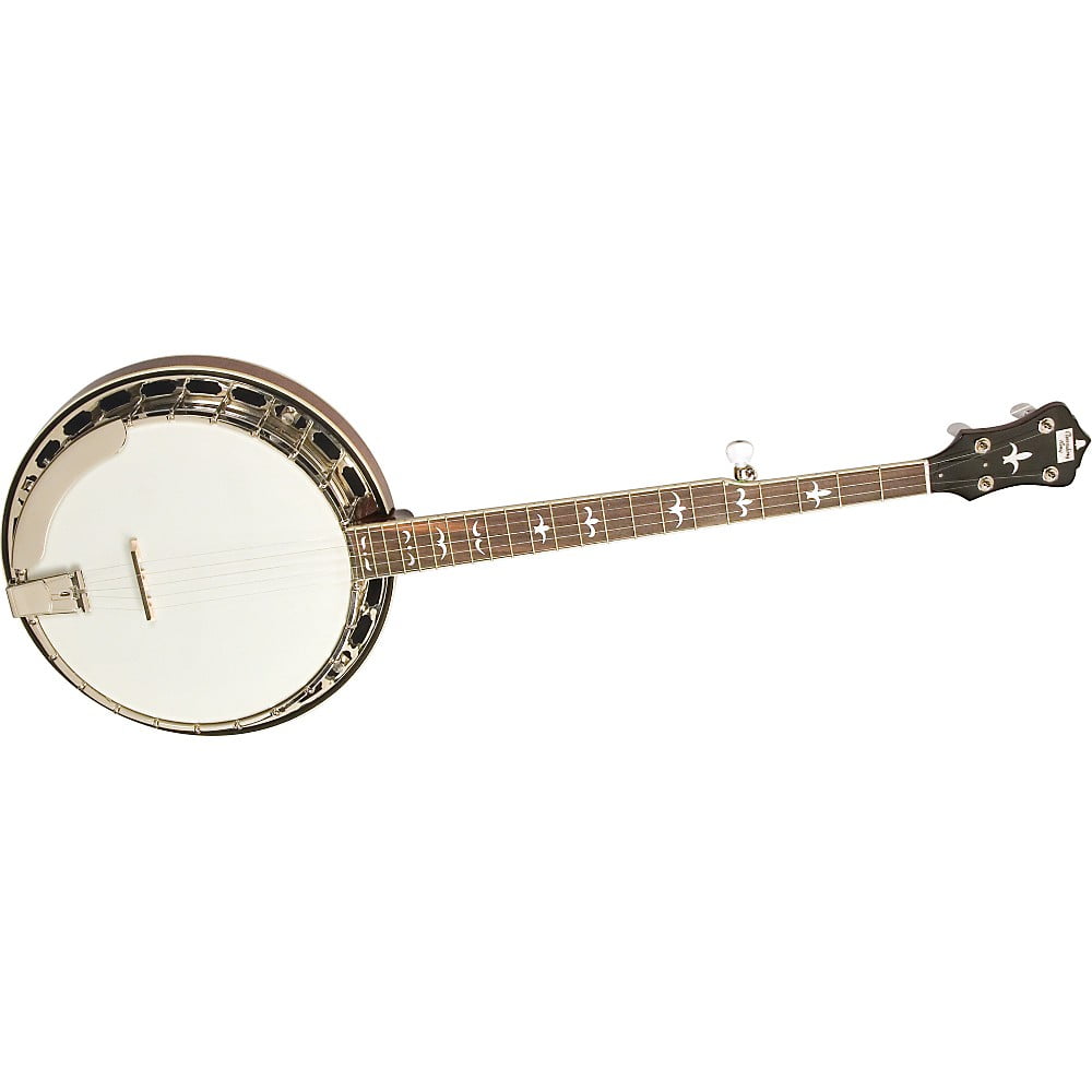 Recording King RK-R35 5-String Resonator Banjo