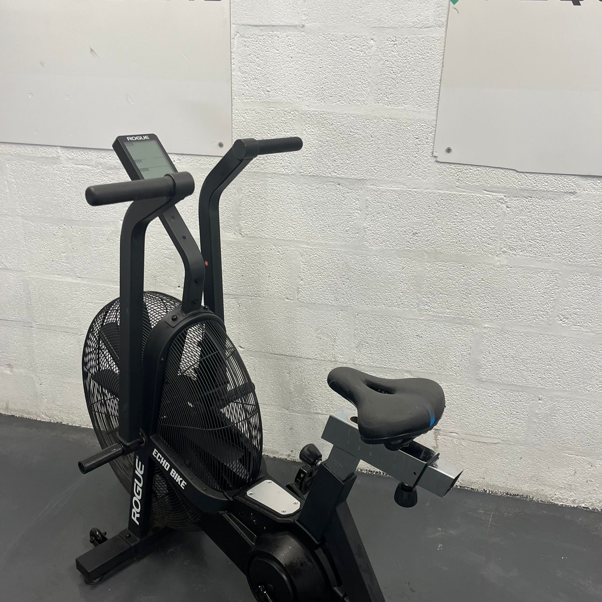 Rogue Echo Bike (Alternative Cardio)
