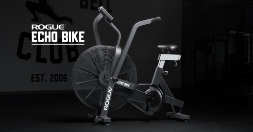 Rogue Fitness Echo Bike