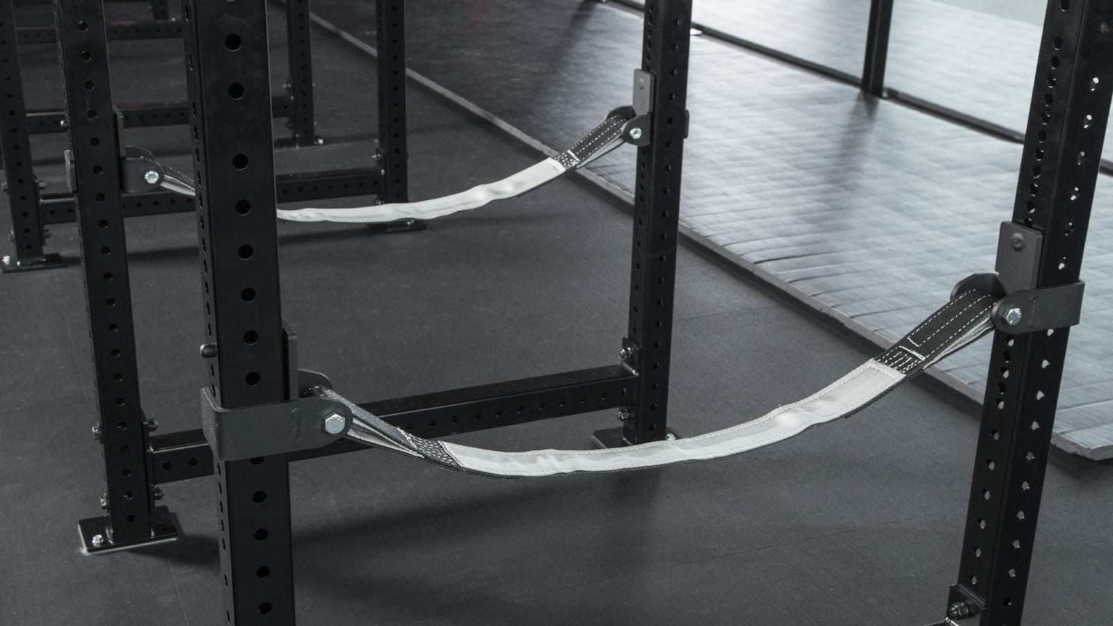 Rogue Monster Lite Safety Straps