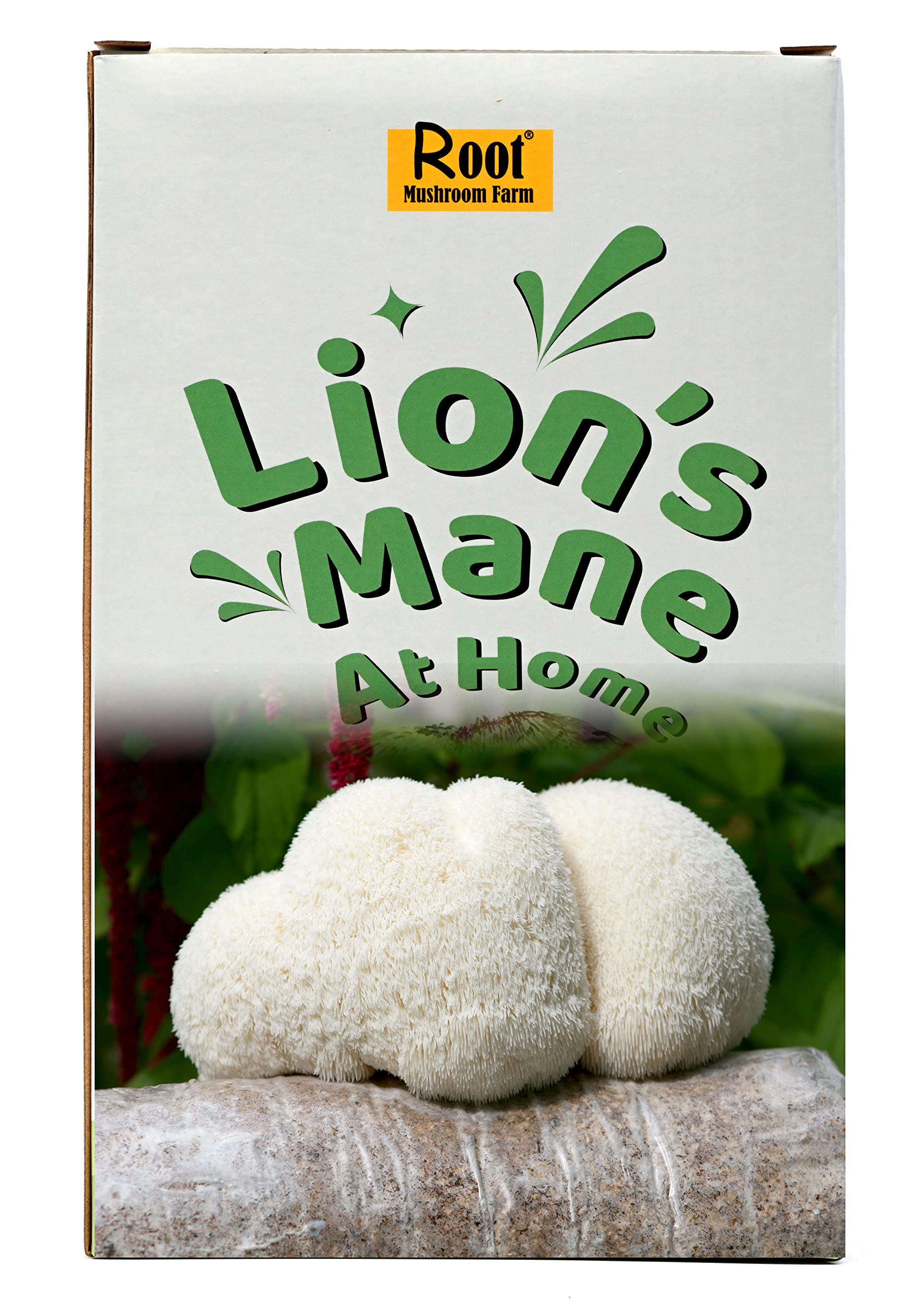 Roots & Fruits Mushroom Grow Kit - Lion's Mane