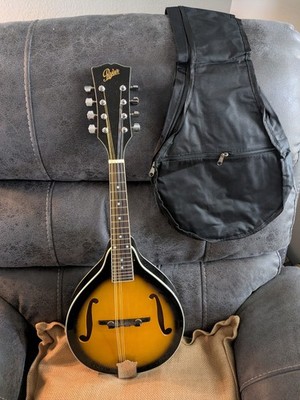 Rover RB-100 Gig Bag for Mandolin