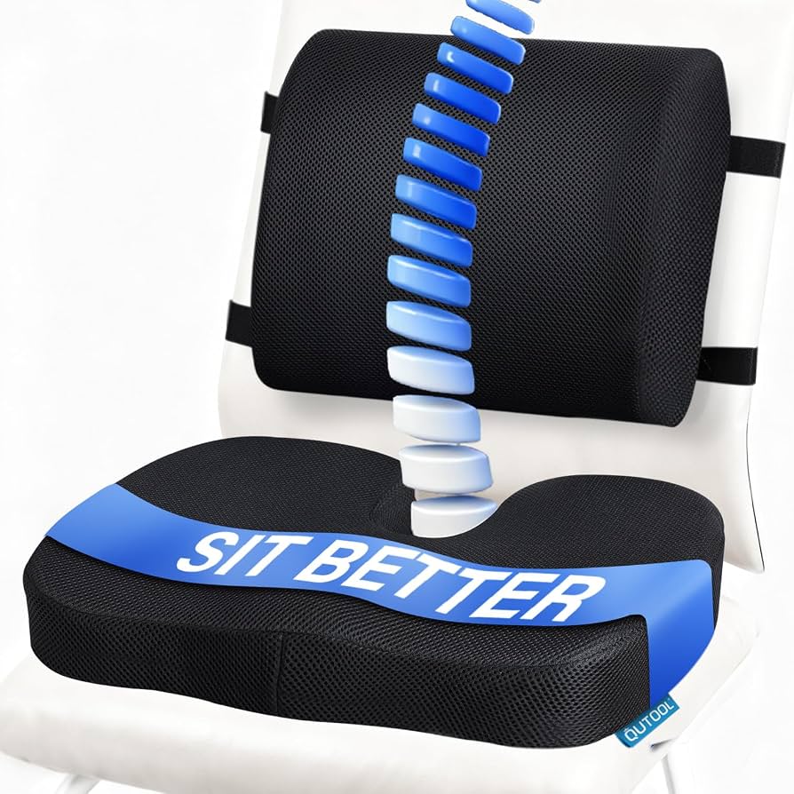 SALENCE Lumbar Support Cushion for Office Chair