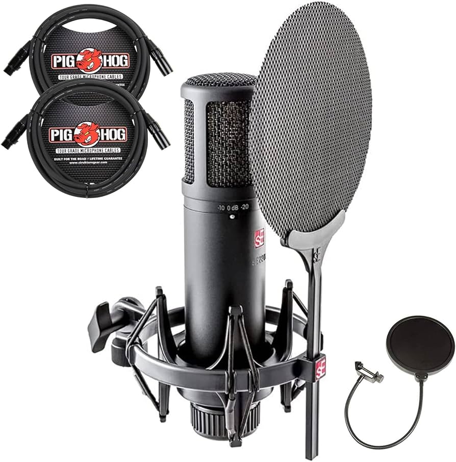 sE Electronics sE2200 II