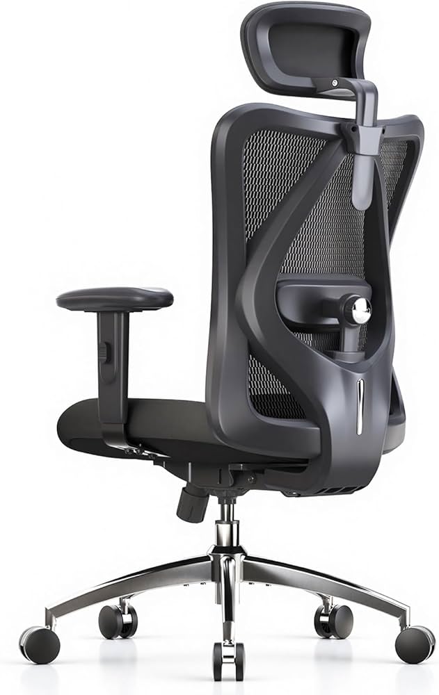 SHW 55-Inch Electric Height Adjustable Desk, Sihoo M18 Ergonomic Chair, LG 24MP400-B 24-Inch Full HD Monitor