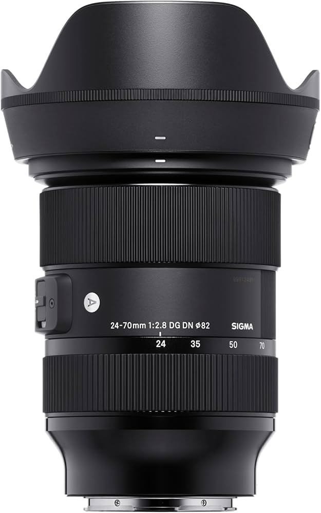 Sigma 24-70mm f/2.8 DG DN Art (Sony E)