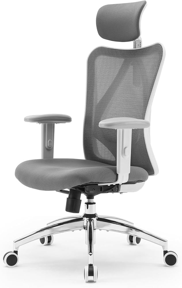 SIHOO M18 Ergonomic Office Chair (2026 Model)