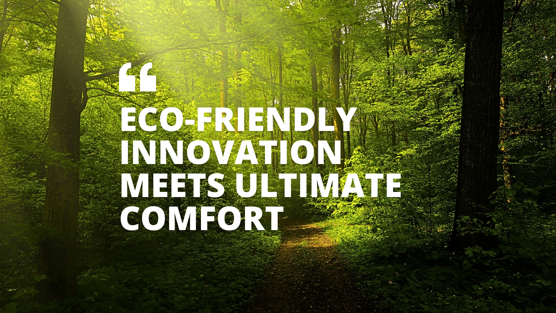 Sustainability meets comfort with the