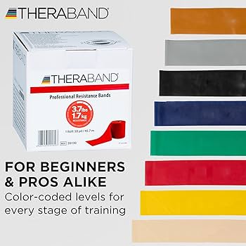 TheraBand Resistance Bands Set Pro Series