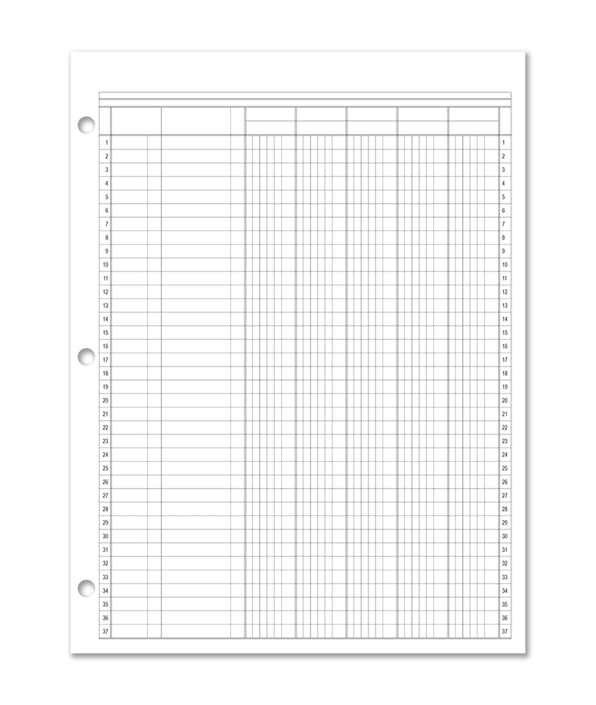 Triplicity 5 Column Ledger Sheets (100 Pack Refill)