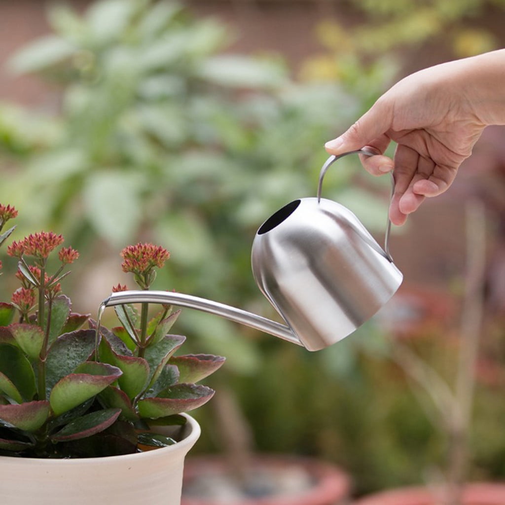 Watering Can with Narrow Spout