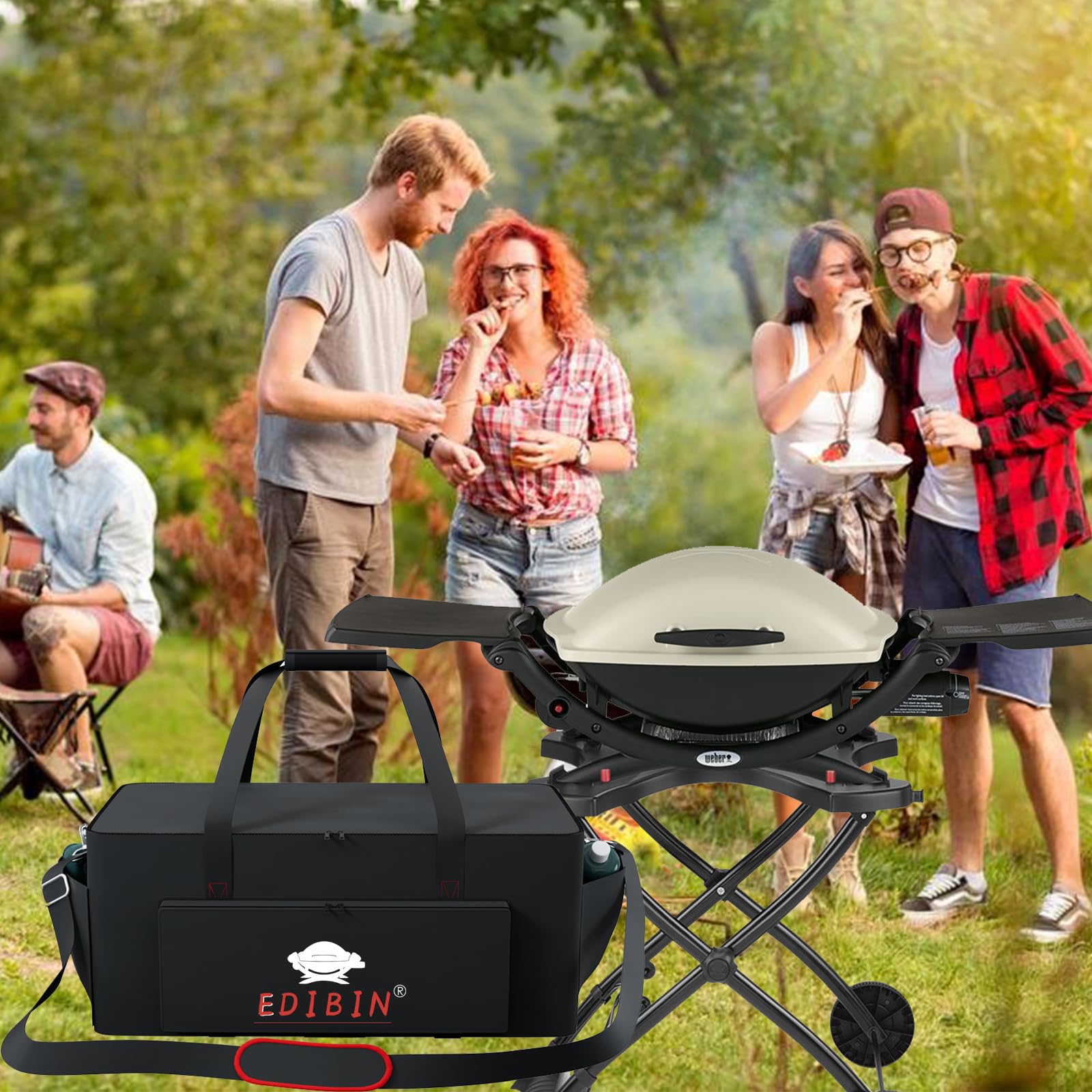 Weber Q2200 Liquid Propane Grill