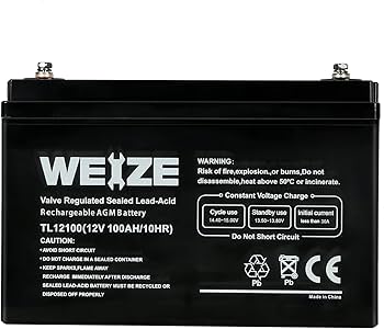 Weize 12V 100Ah AGM Battery