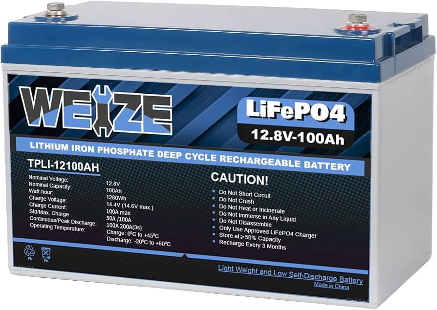 WEIZE 12V 100Ah AGM Deep Cycle Battery