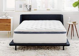WinkBeds WinkBed Mattress (Luxury Firm, Queen)