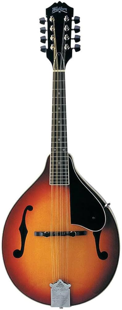 Winston 1-0010 A Style Mandolin