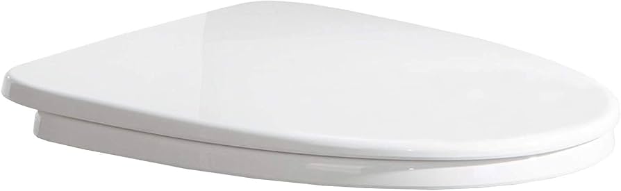 Woodbridge T-0210 Elongated Slow Close Toilet Seat