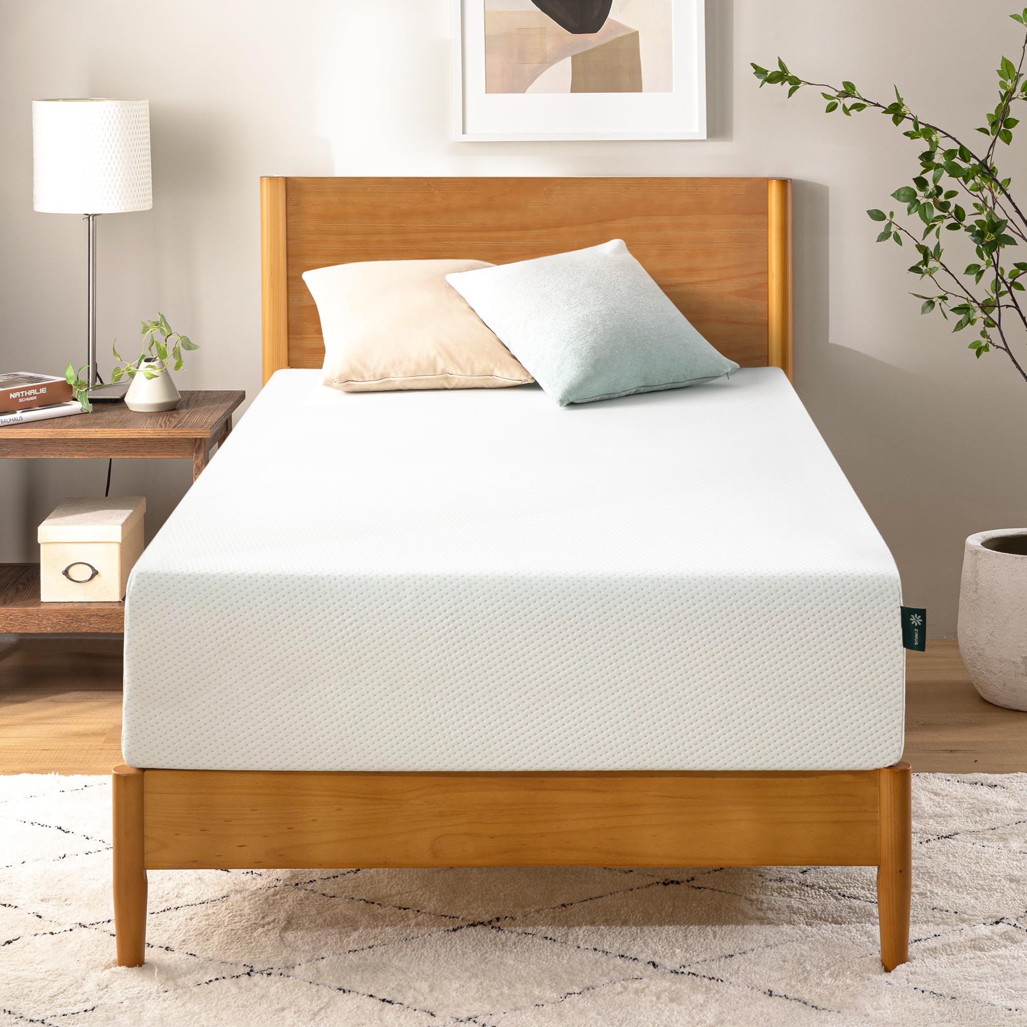 Zinus 12 Inch Green Tea Memory Foam Mattress (Queen)